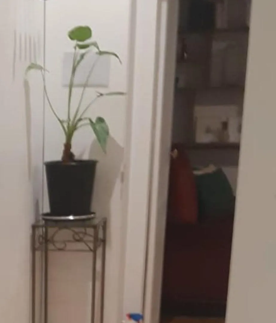 Homestay Au Coeur Du Quartier Latin Apartment Paris